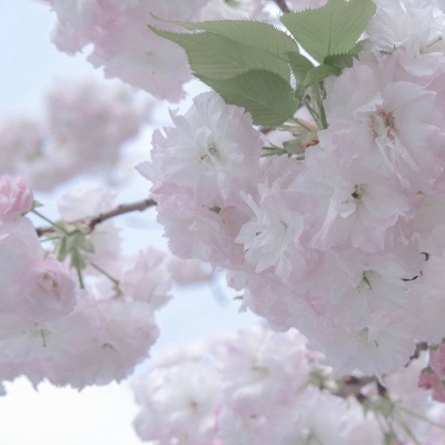 兽设质感表现技巧FurryQQ群